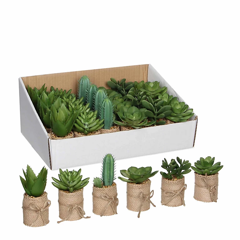 Castorama Succulente Artificiel En Pot Vert 6 Assorti ø5 X H.12 Cm 3 Castorama Succulente Artificiel En Pot Vert 6 Assorti ø5 X H.12 Cm
