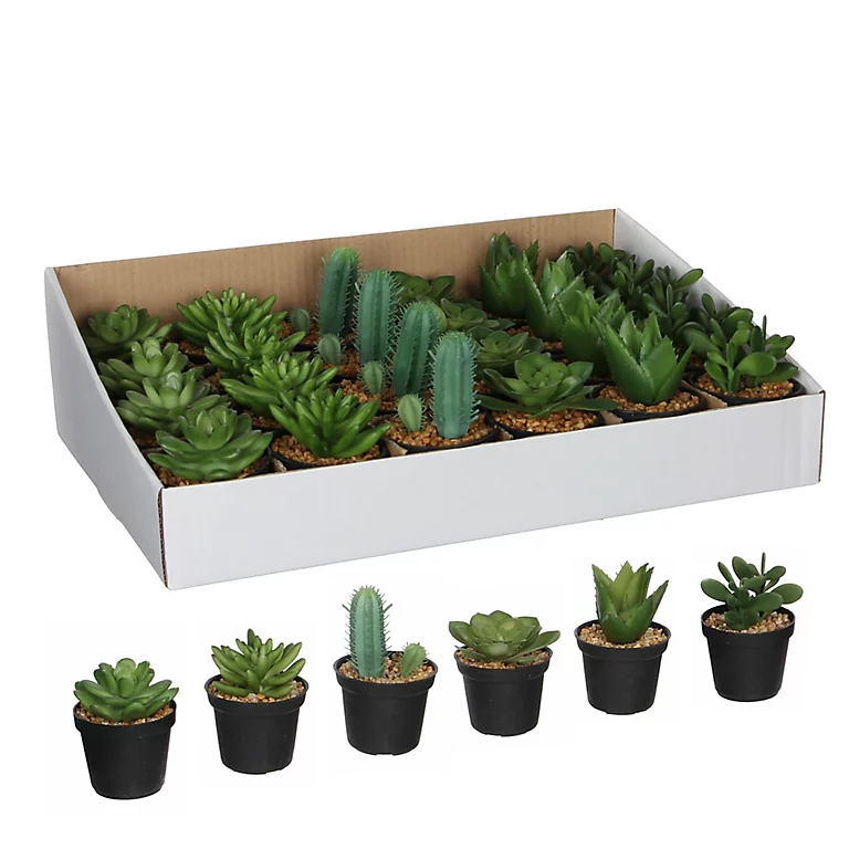 Castorama Succulente Artificiel En Pot Vert 6 Assorti ø7 X H.11 Cm 3 Castorama Succulente Artificiel En Pot Vert 6 Assorti ø7 X H.11 Cm