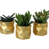 Castorama Succulentes Avec Pot En Céramique 9 Cm 2 Castorama Succulentes Avec Pot En Céramique 9 Cm -Terreau, gazon, traitement, végétal, semence Soldes Boutique succulentes avec pot en ceramique 9 cm5059340138350 02c