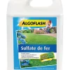 Castorama Sulfate De Fer Algoflash 5L 1 Castorama Sulfate De Fer Algoflash 5L -Terreau, gazon, traitement, végétal, semence Soldes Boutique sulfate de fer algoflash 5l3167770213713 01c FR CF