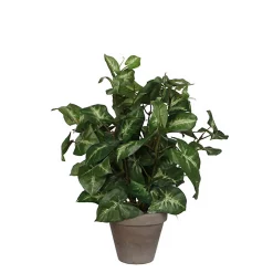 Castorama Syngonium Vert Artificiel ø25 X H.35 Cm En Pot Stan Gris ø11,5 Cm