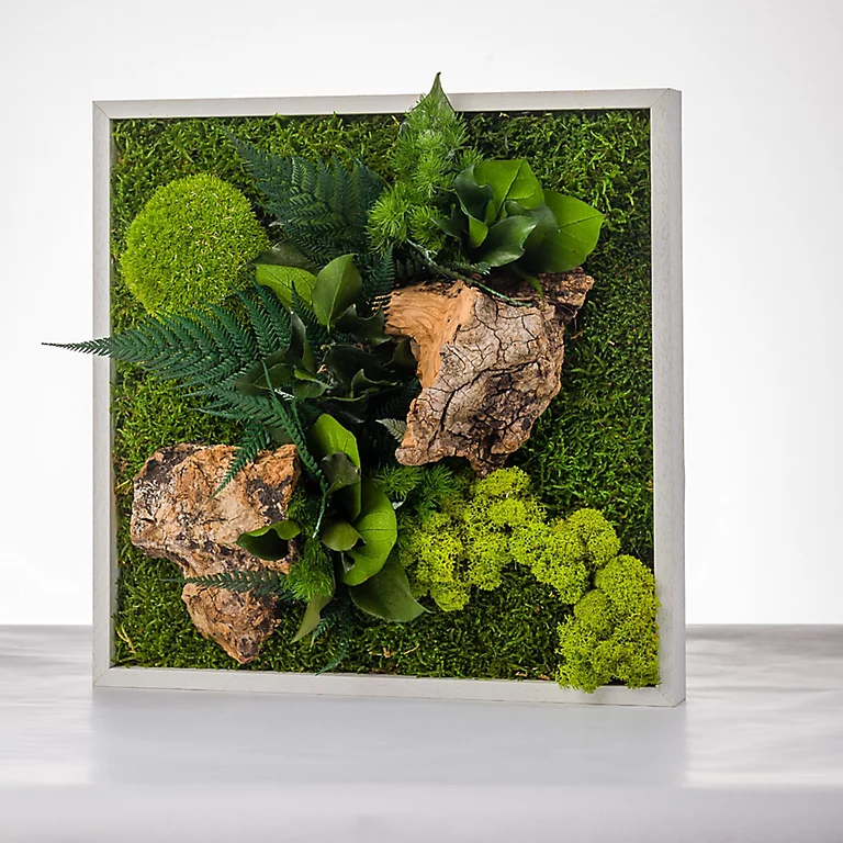 Castorama Tableau Végétal Stabilisé Carré 3 Castorama Tableau Végétal Stabilisé Carré