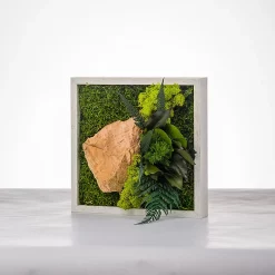 Castorama Tableau Végétal Stabilisé Mono