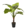 Castorama Taro Artificiel En Pot Plastique Vert ø110 X H.130 Cm 1 Castorama Taro Artificiel En Pot Plastique Vert ø110 X H.130 Cm -Terreau, gazon, traitement, végétal, semence Soldes Boutique taro artificiel en pot plastique vert 110 x h 130 cm8718861457773 01c FR CF