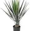 Castorama Yucca Rostrata Artificiel H.60 Cm -Terreau, gazon, traitement, végétal, semence Soldes Boutique yucca rostrata artificiel h 60 cm3700543510567 01c FR CF