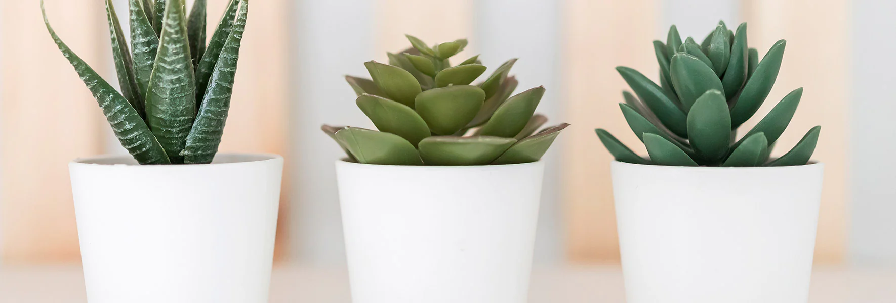 Terreau, gazon, traitement, végétal, semence Soldes Boutique -Terreau, gazon, traitement, végétal, semence Soldes Boutique 383