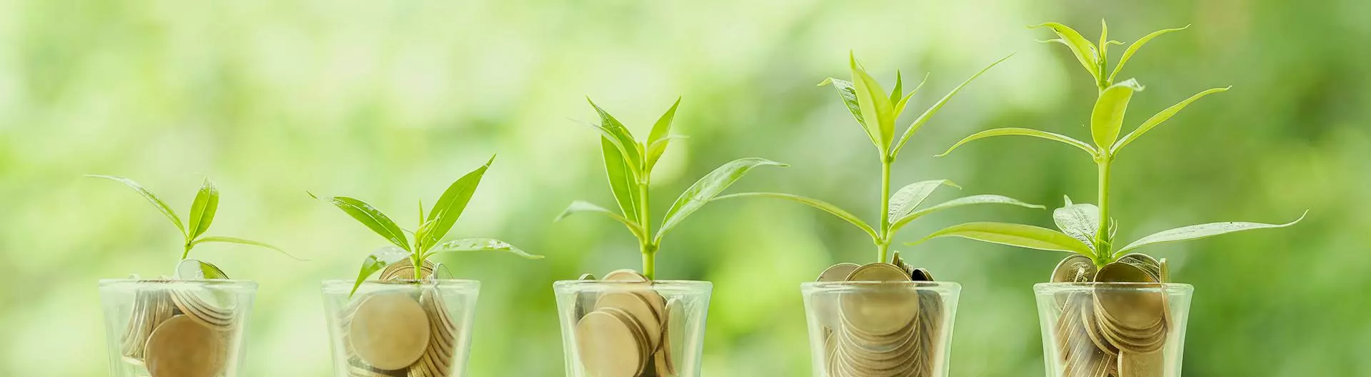 Terreau, gazon, traitement, végétal, semence Soldes Boutique -Terreau, gazon, traitement, végétal, semence Soldes Boutique 385